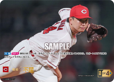 BP01ۡSPPDO-12 ԶڹΥס