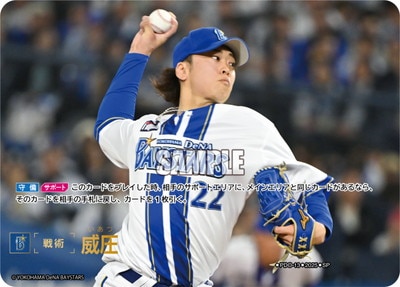 BP01ۡSPPDO-13 ҰڲDeNA٥