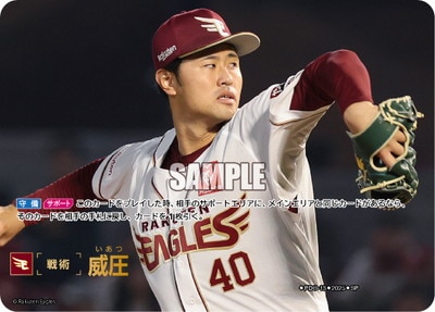 BP01ۡSPPDO-13 Ұ̳ŷǥ󥤡륹