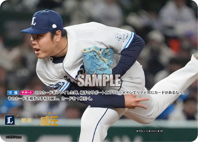 BP01ۡSPPDO-13 Ұں饤󥺡