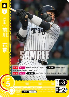 ドリームオーダー,その他,プロモーションカード | ドリームオーダー