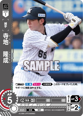 PDO-M04 ���ϡ�δ���ڥץ��⡼�����ѥå� 2025 Vol.6�� PR