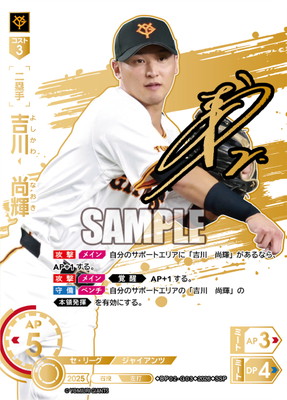 ドリームオーダー,拡張パック,12球団ブースター,12球団ブースター