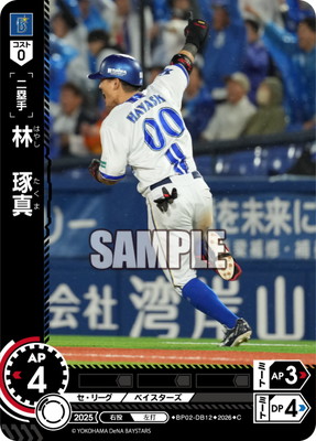 BP02-DB12 �ӡ����� C