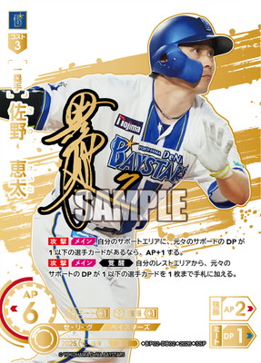 ��SSP��BP02-DB02 �������