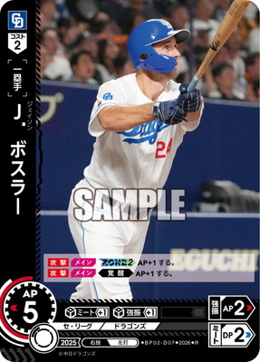 BP02-D07 �ʡ��ܥ��顼 R