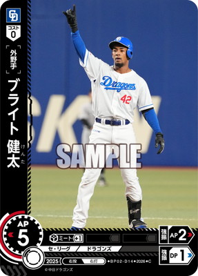 BP02-D14 �֥饤�� ���� C