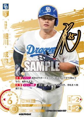 ��SSP��BP02-D04 �������