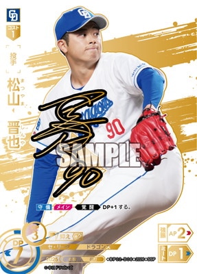 ��SSP��BP02-D06 ����������