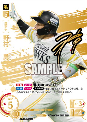 ��SSP��BP02-H06 ��¼��ͦ