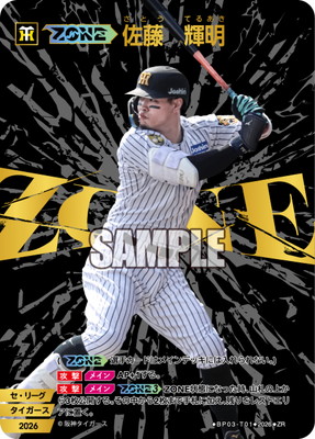 BP03-T01 ��ZONE�ۺ�ƣ������ ZR
