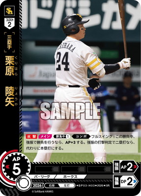 BP03-H03 ���������� SR