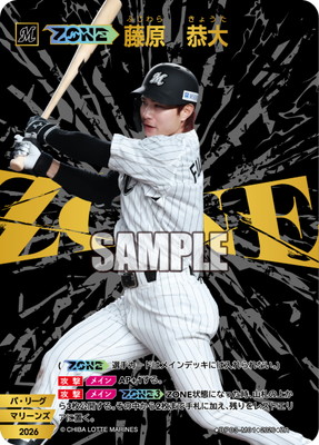 BP03-M01 ��ZONE��ƣ�������� ZR
