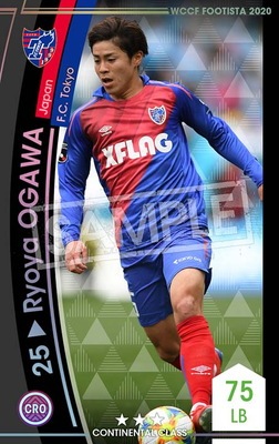 �ڥ�󥯥��å׺Ѥߡۡ�F20-1 030-R�ۥ�祦�䡦������ ��3 CC