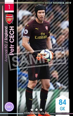 ��F19-2 001�ۥڥȥ롦������ ��3 CC