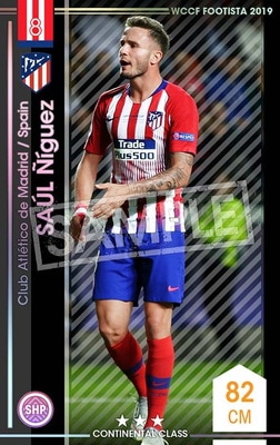 ��F19-2 022�ۥ������롦�˥��� ��3 CC