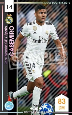 ��F19-2 026�ۥ����ߥ� ��3 CC