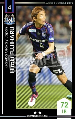 ��F19-2 036�ۥҥ������ե��ϥ� ��2 DC