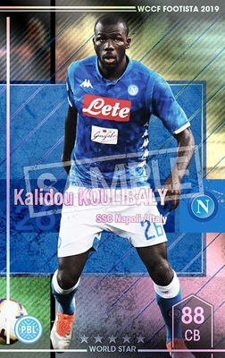 �ڥ�󥯥��å׺Ѥߡۡ�F19-3 020-R�ۥ���ɥ�������Х� ��5 WS