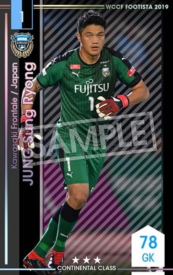 �ڥ�󥯥��å׺Ѥߡۡ�F19-4 031-R�ۥ���󡦥������ ��3 CC