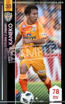 �ڥ�󥯥��å׺Ѥߡۡ�F19-4 035-R�ۥ��祦�������ͥ� ��3 CC