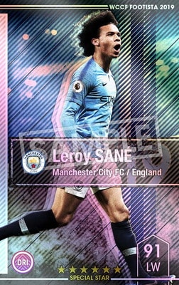 ڥ󥯥å׺ѤߡۡF19-5 005-Rۥ 6 SS