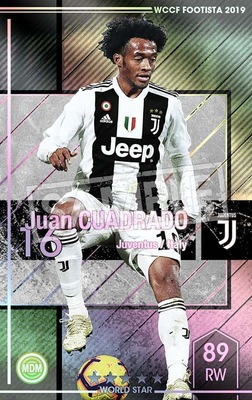 �ڥ�󥯥��å׺Ѥߡۡ�F19-5 015-R�ۥե��󡦥����ɥ顼�� ��5 WS