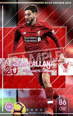 �ڥ�󥯥��å׺Ѥߡۡ�F19-6 003-R�ۥ����ࡦ��顼�� ��5 WS