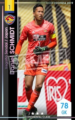 �ڥ�󥯥��å׺Ѥߡۡ�F19-6 043-R�ۥ��˥��롦����ߥå� ��3 CC