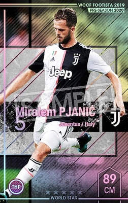 ڥ󥯥å׺ѤߡۡF19-7 020-Rۥߥࡦԥ˥å 5 WS