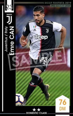 ��F19-8 020�ۥ���졦����� ��2 DC