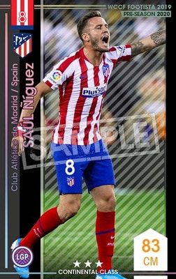 ��F19-8 028�ۥ������롦�˥��� ��3 CC