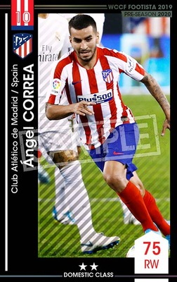 ��F19-8 029�ۥ���إ롦���쥢 ��2 DC