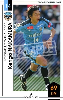 ��F19-8 046�ۥ��󥴡��ʥ���� ��1 LC