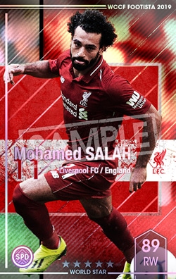 ��F19-EX�ۥ�ϥ�ɡ����顼 ��5 WS