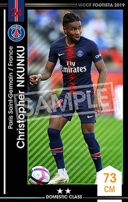 ��F19-EX�ۥ��ꥹ�ȥե��롦���󥯥� ��2 DC