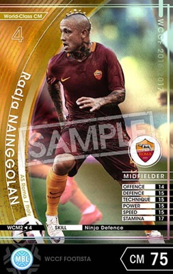 ��FOOTISTA �Ѵ��Ѥߡۡ�16-17 WCM2�ۥ饸�㡦�ʥ��󥴥��