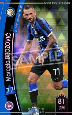 ランクアップ済み】【F20-2 012-R】マルセロ・ブロゾビッチ ☆4 WC