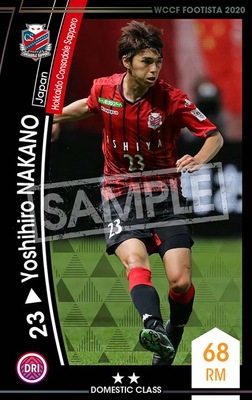 ڥ󥯥å׺ѤߡۡF20-2 034-Rۥ襷ҥʥ 2 DC