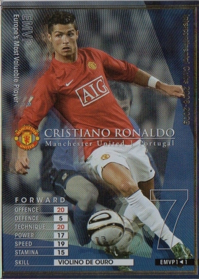  ����08-09   EMVP1�ۥ��ꥹ�ƥ������Ρ����ʥ���