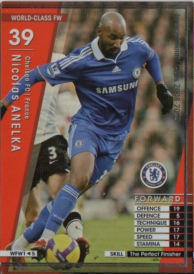  ��08-09   WFW1�ۥ˥��顦���ͥ륫