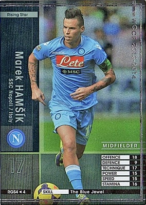 ☆【13-14 / RGS4】マレク・ハムシク | WCCF,WCCF【通常弾