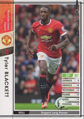 ��14-15OE / A018�ۥ����顼���֥饱�å�