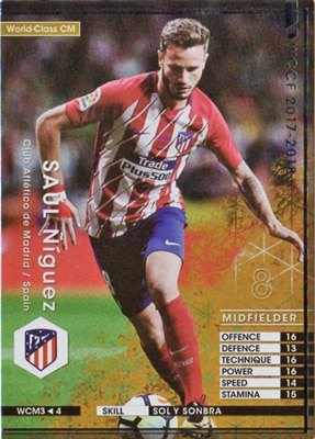 ��17-18 / WCM3�ۥ������롦�˥���