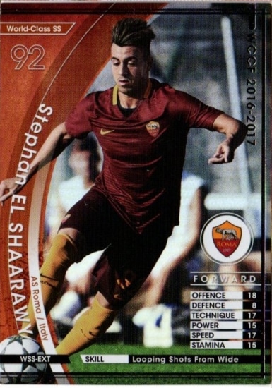 ��16-17 / WSS-EXT�ۥ��ƥե��󡦥��롦���㡼�饦��