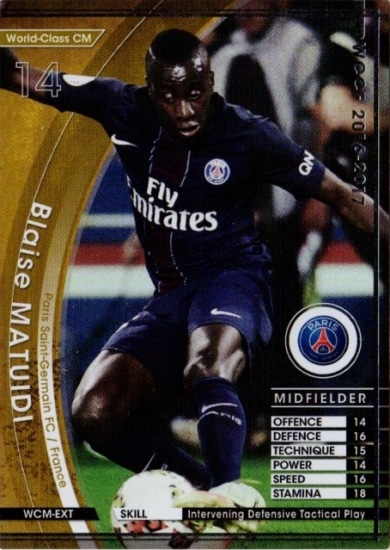 ��16-17 / WCM-EXT�ۥ֥졼�����ޥƥ奤�ǥ�