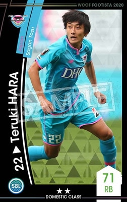 �ڥ�󥯥��å׺Ѥߡۡ�F20-3  048-R�ۥƥ륭���ϥ� ��2 DC