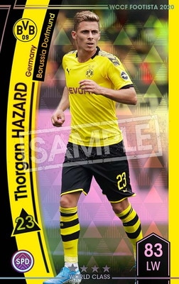 F20-4  008ۥȥ륬󡦥 4 WC