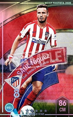 ��F20-5  022�ۥ������롦�˥��� ��5 WS