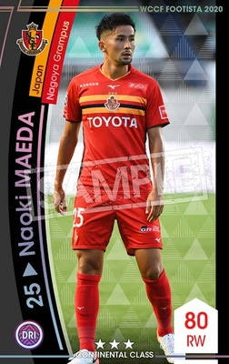 ��F20-5  047�ۥʥ������ޥ��� ��3 CC